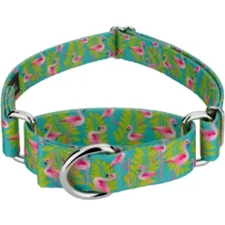 Country Brook Design - Flamingos Martingale Dog Collar -Pet Supplies Online GUEST 573457ac aae5 4e8e bf94 c41e91e0d167