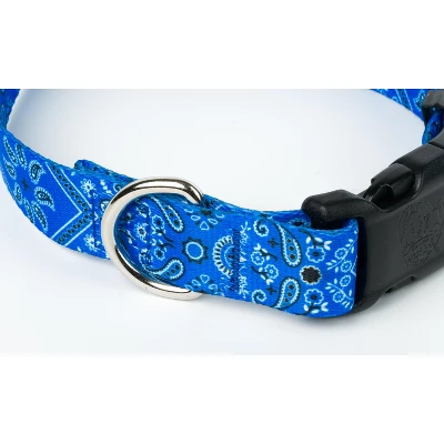 Country Brook Petz® Deluxe Dog Collar - Country And Western Collection - Made In The U.S.A. 6 Country Brook Petz® Deluxe Dog Collar - Country And Western Collection - Made In The U.S.A. - Image 4