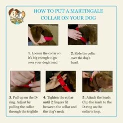 Country Brook Petz HossFit Jr Wide Martingale Dog Collar - Christmas Collection -Pet Supplies Online GUEST 57ccb515 4c68 4715 8b46 647f55ede265 1