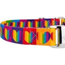 Country Brook Petz Rainbow Hearts Martingale Dog Collar With Premium Buckle (1 Inch, Large) -Pet Supplies Online GUEST 57d4f342 1492 4700 ba59 f561983e8045 1