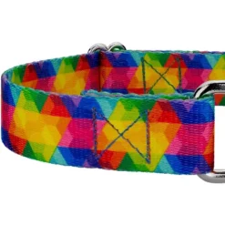 Country Brook Petz Kaleidoscope Martingale Dog Collar -Pet Supplies Online GUEST 57f92078 3029 4f9b 89c5 2b9f8fc2ad8f