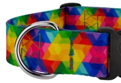 Country Brook Petz 1 1/2 Inch Deluxe Kaleidoscope Dog Collar 8 Country Brook Petz 1 1/2 Inch Deluxe Kaleidoscope Dog Collar -Pet Supplies Online GUEST 58512a99 c784 4aeb a240 95b7c1fbd42f