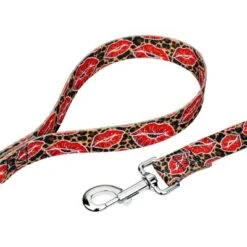 Country Brook Petz Deluxe Cheetah Kisses Dog Collar And Leash Limited Edition 10 Country Brook Petz Deluxe Cheetah Kisses Dog Collar And Leash Limited Edition -Pet Supplies Online GUEST 585c870a 475c 4e30 9d14 fead4c020509