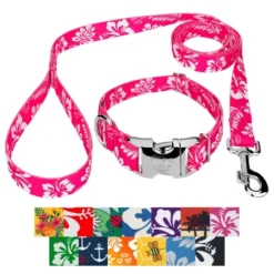 Country Brook Petz Premium Dog Collar And Leash - Summer Breeze Collection -Pet Supplies Online GUEST 58a4e1da d1fe 4a10 8c31 63071e282bb0