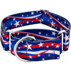 Country Brook Petz 1 1/2 Inch Star Spangled Martingale Dog Collar -Pet Supplies Online GUEST 59021a89 51d2 4f99 88fe 5b05548f3895