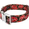 Country Brook Petz HossFit Jr Wide Premium Dog Collar - Affection Collection