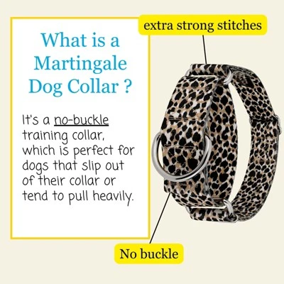 Country Brook Petz HossFit Jr Wide Martingale Dog Collar - Animal Print Collection 5 Country Brook Petz HossFit Jr Wide Martingale Dog Collar - Animal Print Collection - Image 3