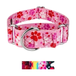 Country Brook Petz HossFit Jr Wide Martingale Dog Collar - Affection Collection -Pet Supplies Online GUEST 598a0f7c d6f3 4f1a 8a05 5f40e9ba5df4