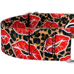 Country Brook Petz HossFit Jr Wide Martingale Dog Collar - Affection Collection -Pet Supplies Online GUEST 59949d19 fba7 41be b6e0 4950ad047ab5