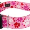 Country Brook Petz 1 1/2 Inch Deluxe Puppy Love Dog Collar