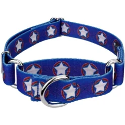 Country Brook Petz - American Stars Martingale Dog Collar -Pet Supplies Online GUEST 5af0dabb 5c86 4d61 b351 3b2095406746