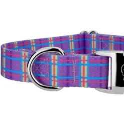 Country Brook Petz Premium Grape Plaid Dog Collar -Pet Supplies Online GUEST 5b3053c9 2360 4c9b 9484 903f8af897b7