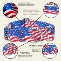 Country Brook Petz HossFit Jr Wide Reflective Martingale Dog Collar Collection Featuring Night Safe Designs -Pet Supplies Online GUEST 5b91b1cd 394a 46c4 b469 df2b95d176b1