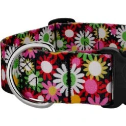 Country Brook Petz HossFit Jr Wide Deluxe Dog Collar - Floral Collection -Pet Supplies Online GUEST 5c1f553e 68dd 4327 88b7 fa4f415bcab2