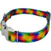 Country Brook Petz Premium Kaleidoscope Dog Collar -Pet Supplies Online GUEST 5cabebc0 b472 4f4e b6cd 80f179fe4d0d