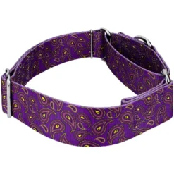 Country Brook Petz 1 1/2 Inch Purple Paisley Martingale Dog Collar -Pet Supplies Online GUEST 5d190810 3f28 4a78 81af 1740a6fb3a8d
