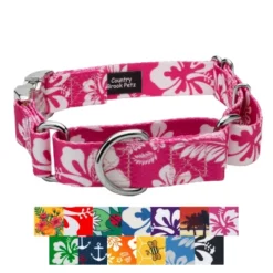 Country Brook Petz Martingale With Premium Buckle - Summer Breeze Collection -Pet Supplies Online GUEST 5f6979d5 3645 49ac a136 55f7a97fce59