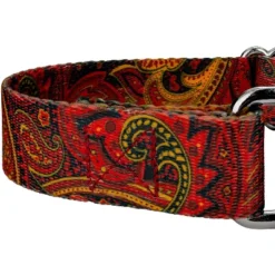 Country Brook Petz Martingale Dog Collar - Paisley Collection -Pet Supplies Online GUEST 60222b3d 3561 4ccf 9308 9e8816679b88