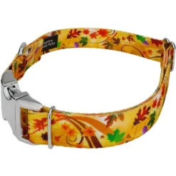 Country Brook Petz Premium Dog Collar - Awesome Autumn Collection -Pet Supplies Online GUEST 61075e49 2752 4c23 befb 7a9f82756ae9