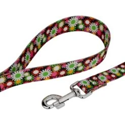 Country Brook Petz Daisy Fields Deluxe Dog Collar And Leash -Pet Supplies Online GUEST 6115f1c1 ddfc 4dc0 bfaf d01bd3d52212