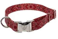 Country Brook Petz Premium Red Bandana Dog Collar -Pet Supplies Online GUEST 611aa3dd 20e5 4836 9230 16793309e4e6