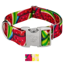Country Brook Petz HossFit Jr Wide Premium Dog Collar - Tasty Collection -Pet Supplies Online GUEST 611afbaa 6874 4aa0 95c7 66474d2311e3