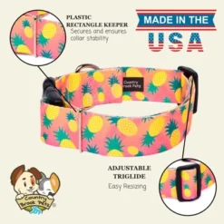 Country Brook Petz HossFit Jr Wide Deluxe Dog Collar - Tasty Collection -Pet Supplies Online GUEST 615bcb72 f6cb 4118 a971 58c25cb5fe2d