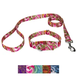 Country Brook Petz Martingale Collar And Leash - Paisley Collection -Pet Supplies Online GUEST 618264af 3f0c 4c51 ad1f fb9b93ef085a