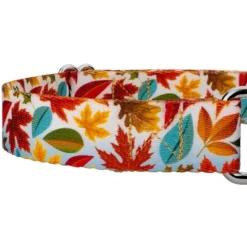 Country Brook Petz Martingale Collar And Leash - Awesome Autumn Collection -Pet Supplies Online GUEST 61a66316 bbe2 471d b80c 99ec6f2f0346 1