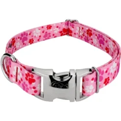 Country Brook Petz Premium Puppy Love Dog Collar -Pet Supplies Online GUEST 61bff98f c06c 4138 99cb 60fe1e8c3fd3