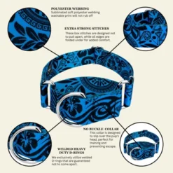 Country Brook Petz HossFit Jr Wide Martingale Dog Collar - Attitude Collection -Pet Supplies Online GUEST 61dd1a16 8546 4195 9c42 39bf359210bf