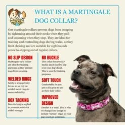 Country Brook Petz HossFit Jr Wide Martingale Dog Collar - Geek Chic Collection -Pet Supplies Online GUEST 62ef52e1 9788 4228 83b4 12a76a06a9cb