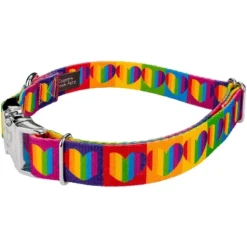 Country Brook Petz Premium Rainbow Hearts Dog Collar