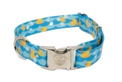Country Brook Petz Premium Just Ducky Dog Collar -Pet Supplies Online GUEST 633d02cc fd23 4366 a876 3e470b08874f