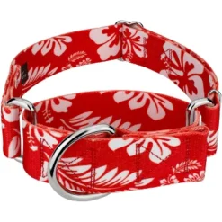 Country Brook Petz 1 1/2 Inch Red Hawaiian Martingale Dog Collar -Pet Supplies Online GUEST 63762a89 f517 41a7 a95e c7506e8b79be