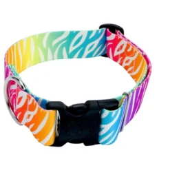 Country Brook Petz 1 1/2 Inch Fashion Zebra Dog Collar -Pet Supplies Online GUEST 6497da6f 4775 406a 8237 2e96378b6283