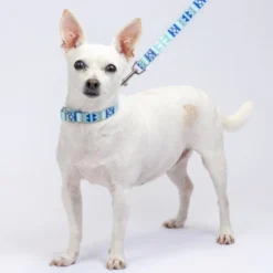 Country Brook Petz Snowy Pines Martingale Dog Collar And Leash -Pet Supplies Online GUEST 64caeb04 3fc7 44cb afbd 41ffd27391f9