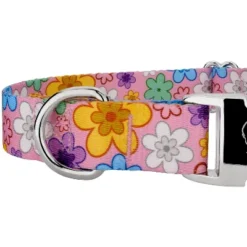 Country Brook Petz Premium May Flowers Dog Collar -Pet Supplies Online GUEST 659f44f1 e11f 45f3 8dd1 f4e445011b51