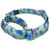 Country Brook Petz Martingale Dog Collar - Spring Collection