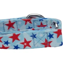 Country Brook Petz American Celebration Martingale Dog Collar (1/2 Inch, 2XS) -Pet Supplies Online GUEST 65fba28c 6b35 457f 94c8 53ec36ce31fa