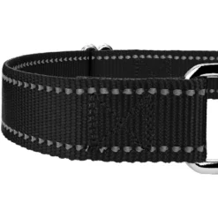 Country Brook Petz Reflective Nylon Martingale Dog Collar 8 Country Brook Petz Reflective Nylon Martingale Dog Collar -Pet Supplies Online GUEST 66098e67 fd23 48b1 abcc b59df13be4a8