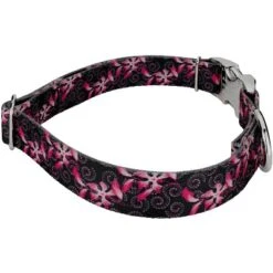 Country Brook Petz Premium Pink Honeysuckle Breeze Dog Collar -Pet Supplies Online GUEST 663213a8 9d13 4c8e a614 bb575f73d586