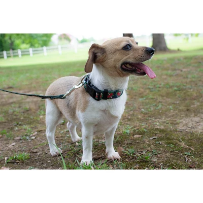 Country Brook Petz Deluxe Black Candy Cane Dog Collar And Leash 4 Country Brook Petz Deluxe Black Candy Cane Dog Collar And Leash - Image 2