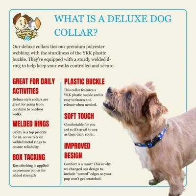 Country Brook Petz HossFit Jr Wide Deluxe Dog Collar - Americana Collection 3 Country Brook Petz HossFit Jr Wide Deluxe Dog Collar - Americana Collection