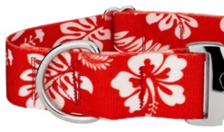 Country Brook Petz 1 1/2 Inch Premium Red Hawaiian Dog Collar -Pet Supplies Online GUEST 67624373 baac 4b1b 9202 c414ce2dccd8