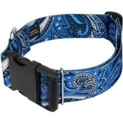 Country Brook Petz HossFit Jr Wide Deluxe Dog Collar - Paisley Collection -Pet Supplies Online GUEST 67b2d4ac cf93 4e08 ab38 9963c2ec9d69
