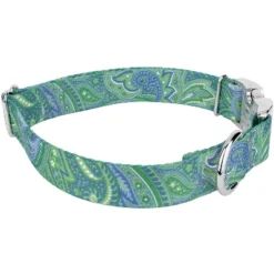 Country Brook Petz Premium Green Paisley Dog Collar