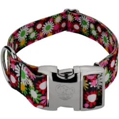 Country Brook Petz 1 1/2 Inch Premium Daisy Fields Dog Collar -Pet Supplies Online GUEST 67daada9 7768 4b4b ae0a ca8db487a43f