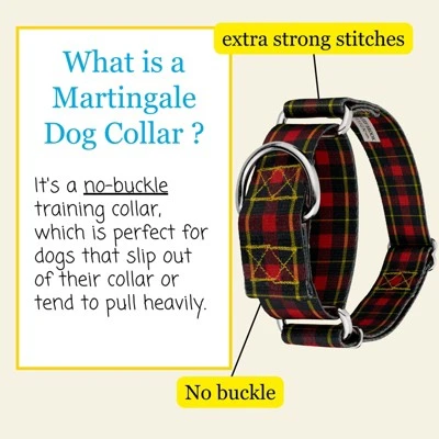Country Brook Petz HossFit Jr Wide Martingale Dog Collar - Plaid And Argyle Collection 4 Country Brook Petz HossFit Jr Wide Martingale Dog Collar - Plaid And Argyle Collection - Image 2