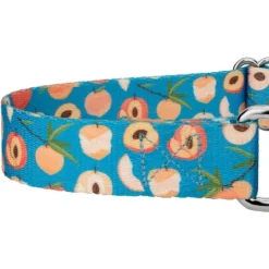 Country Brook Petz Peaches Martingale Dog Collar -Pet Supplies Online GUEST 689a4358 c877 467b bc78 6ce86a638319